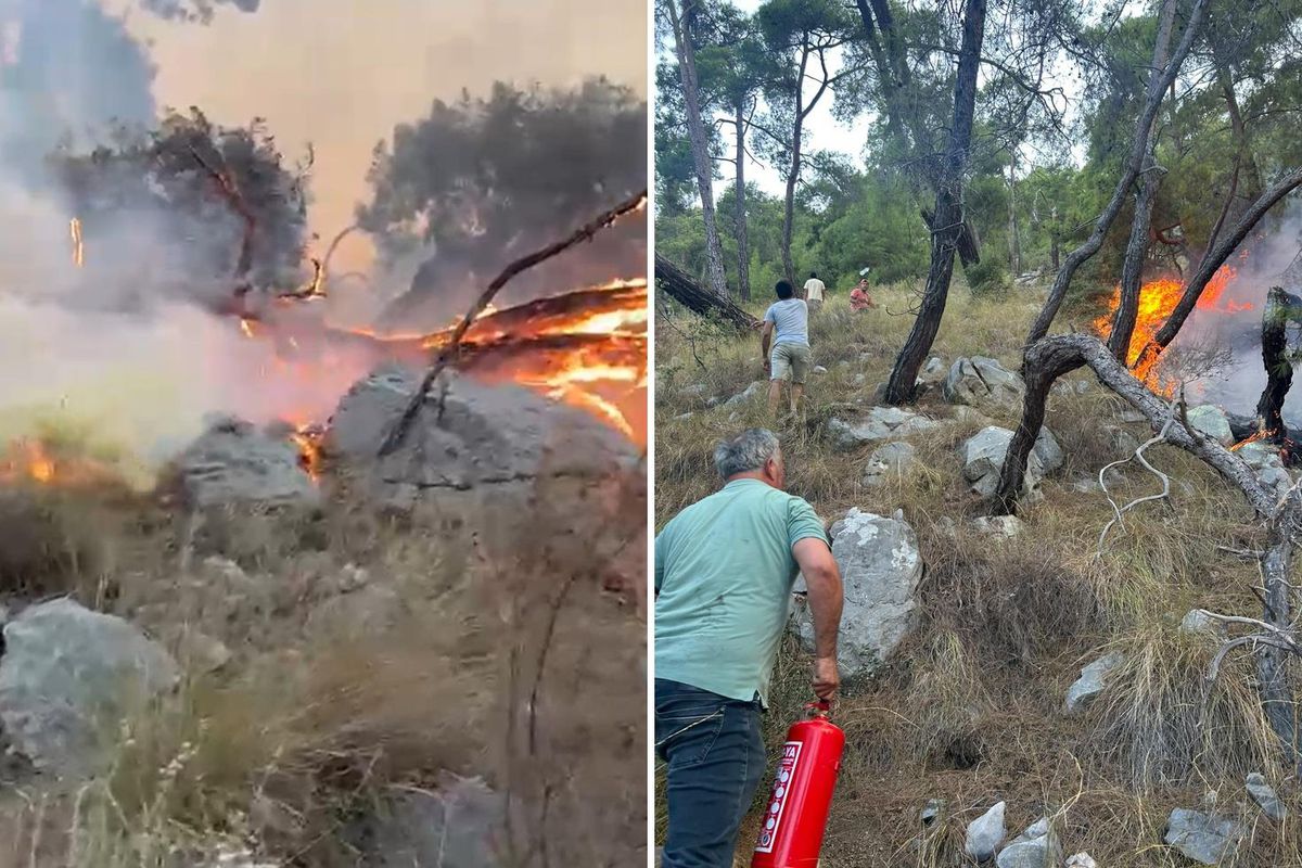 Antalya’da  orman yangını müdahalesinde gönüllüler de devrede: Yangın tüpleri eşekle taşındı