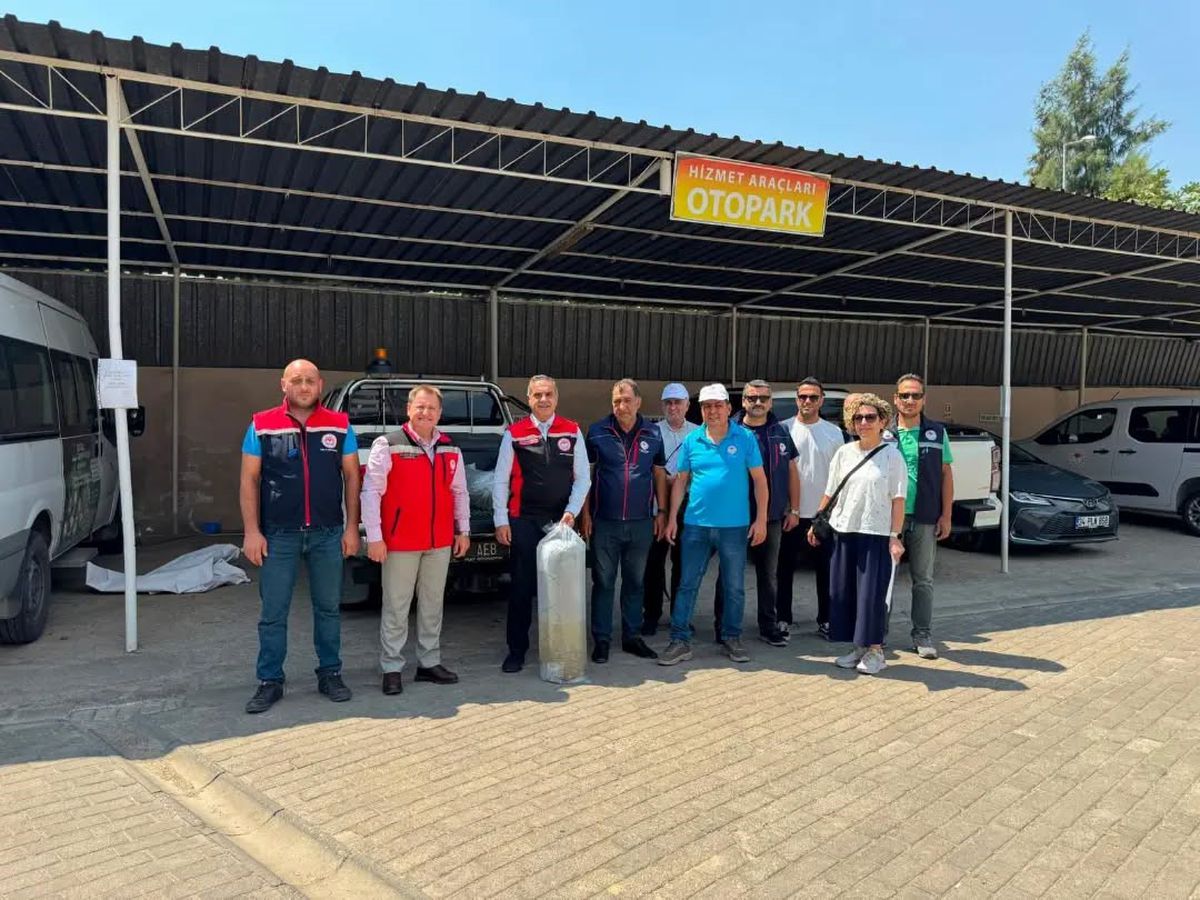 Aydın'daki 10 su kaynağına 535 bin 500 sazan yavrusu bırakıldı