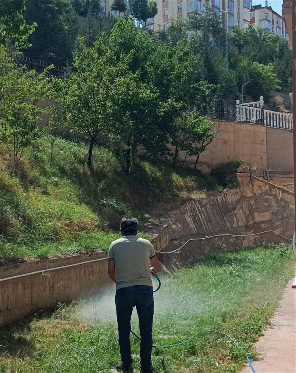 Bayburt'ta Haşereyle Mücadele Sürüyor