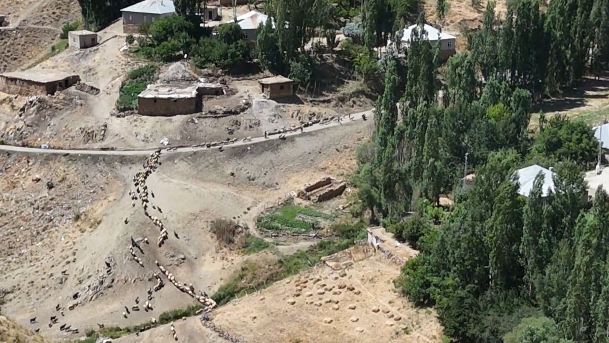Yüksekova'da besiciler su göleti istiyor