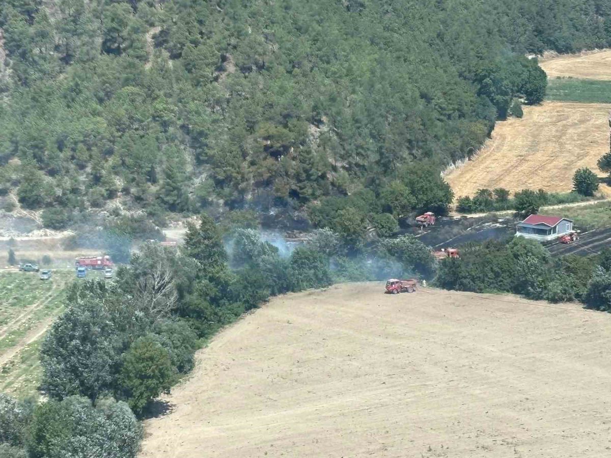 Osmaneli'nde Orman Yangını Kontrol Altına Alındı