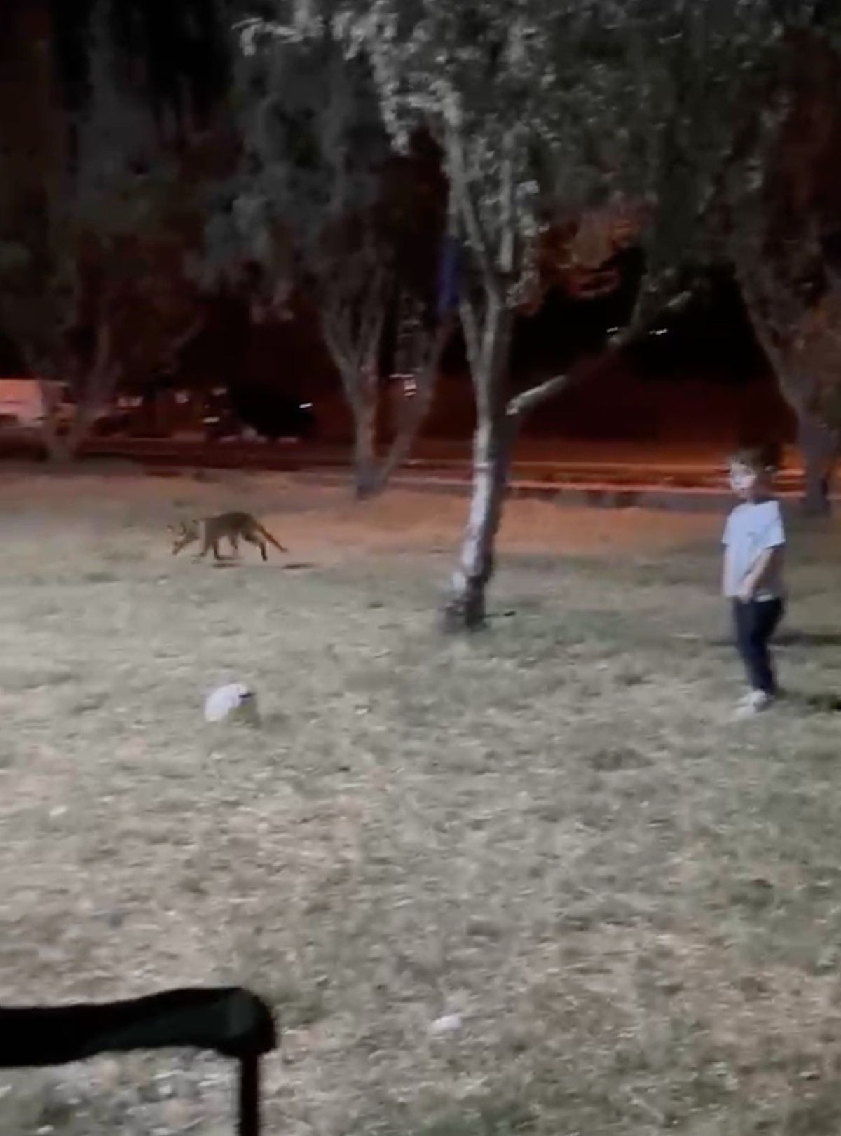 Tilkiden Topunu Geri Alamayan Çocuk
