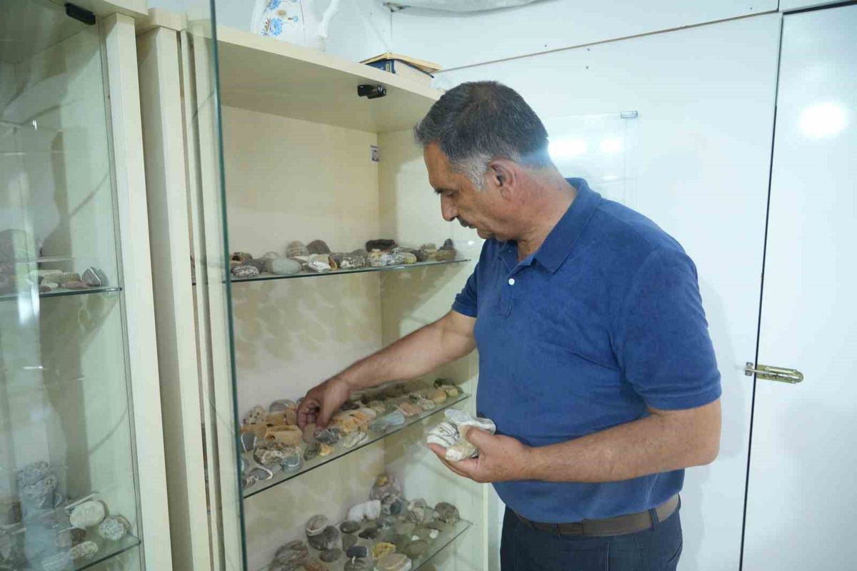 Muşlu çobanın 40 yıllık taş koleksiyonu: 400'den fazla doğa harikası