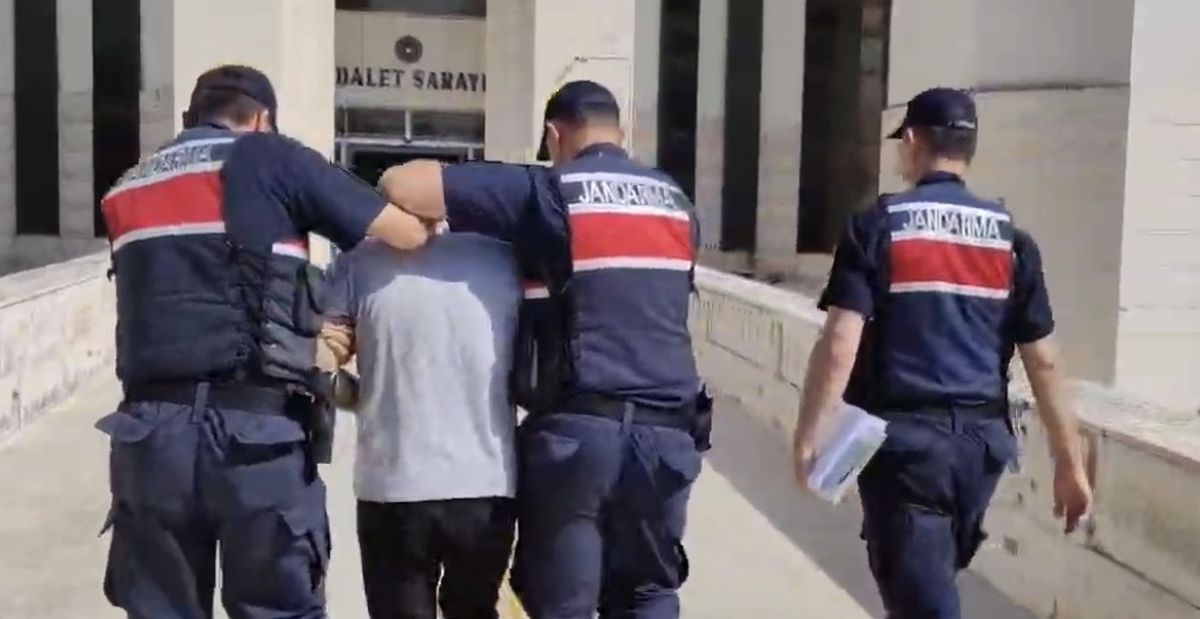 Edremit’teki orman yangınında gözaltına alınan şüpheli tutuklandı