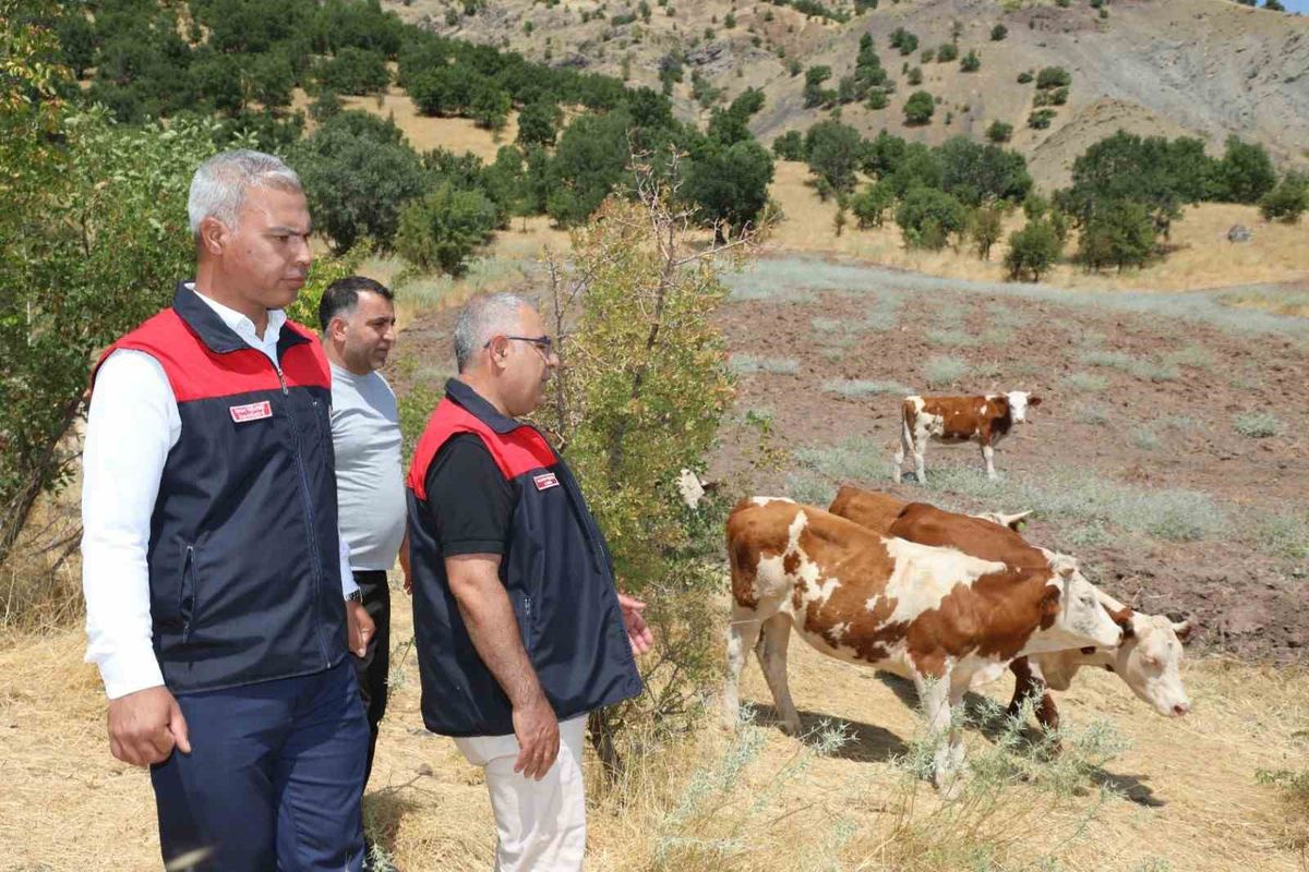 Elazığ'da Kırsalda Bereket Projesi Kapsamında Üretici Ziyareti