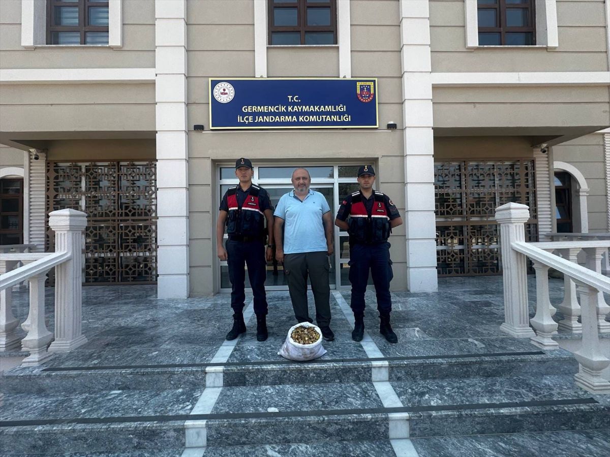 İncir Hırsızı Adli Kontrolle Serbest