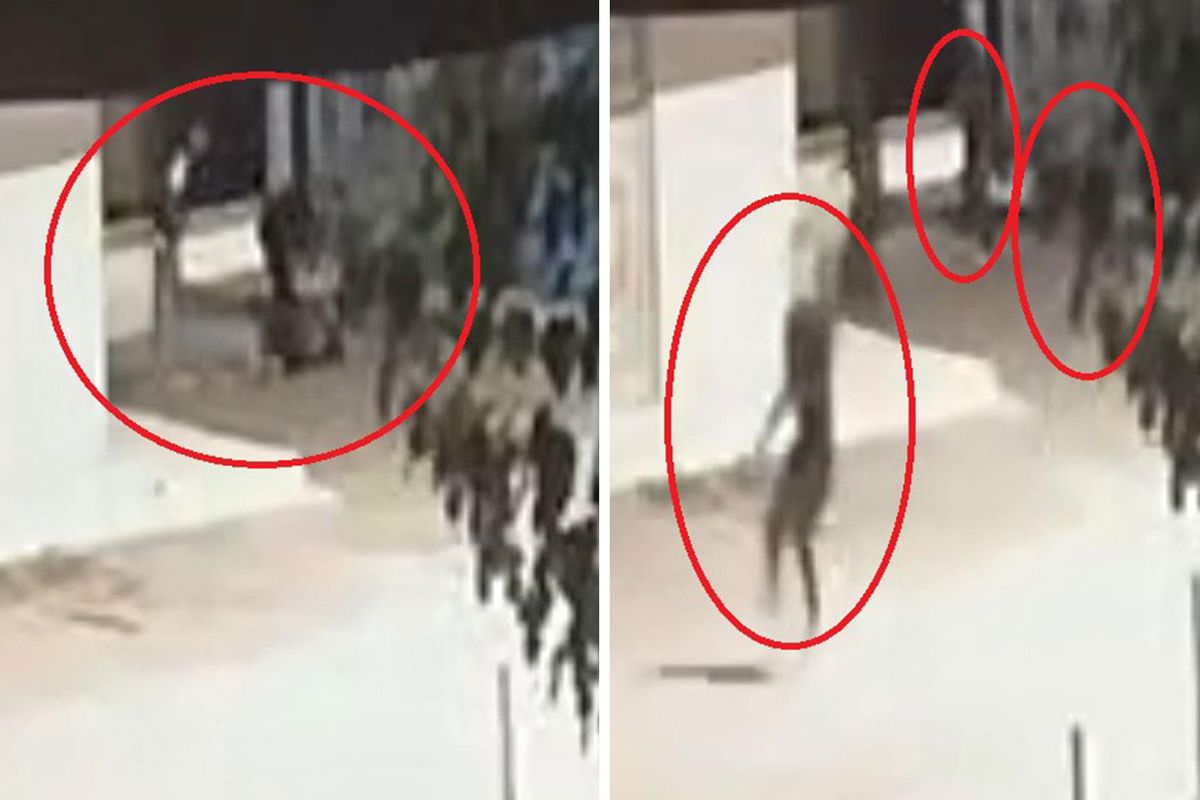 Kayseri’de biber gazlı ve bıçaklı cinayetin güvenlik kamerası görüntüsü ortaya çıktı
