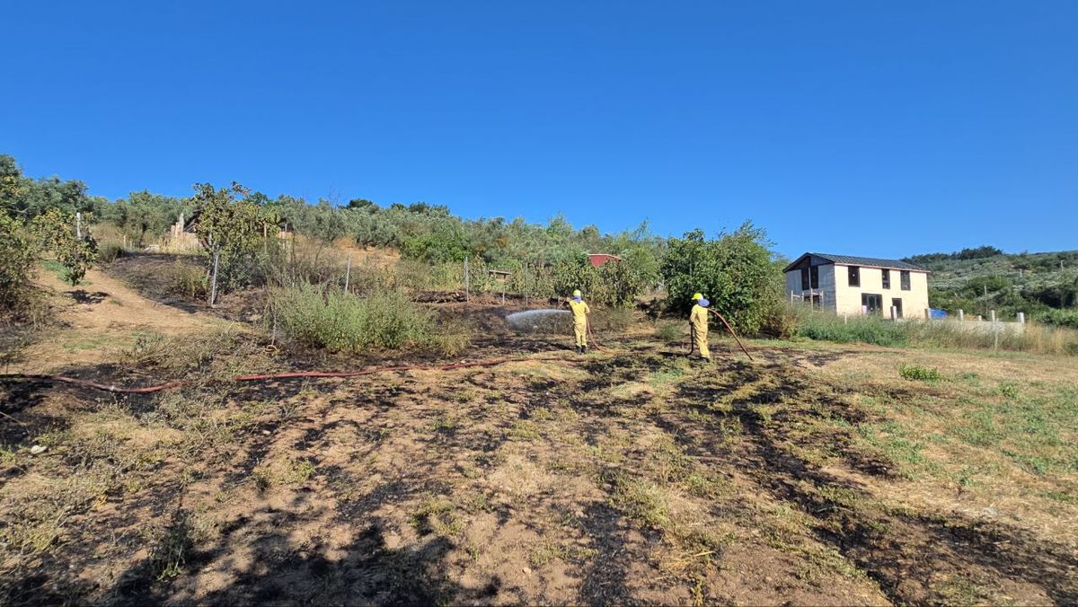 Mudanya'da Zeytin ve İncir Arazisinde Yangın