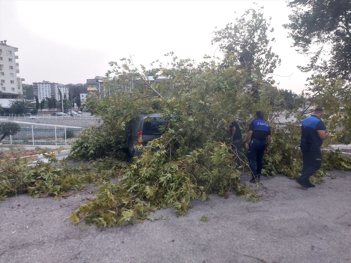 Kadirli’de fırtına: Ağaçlar araçlara devrildi
