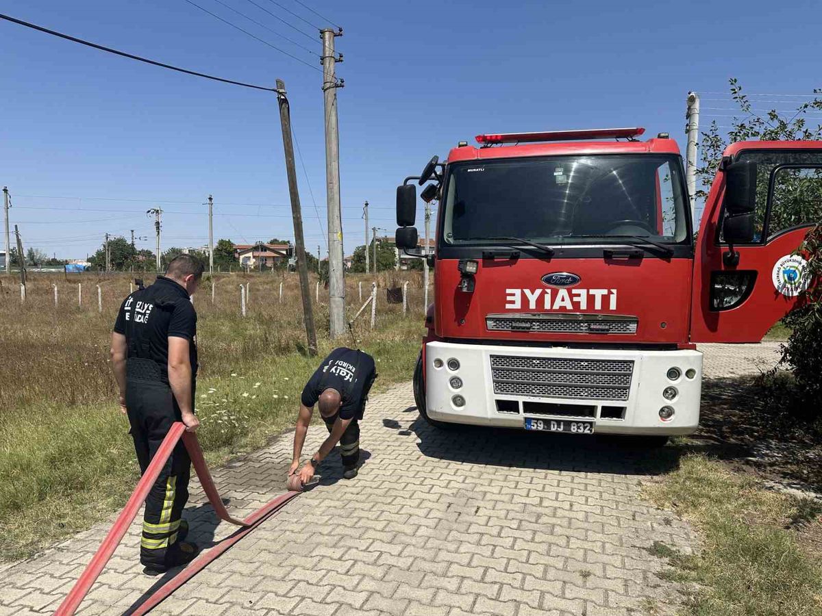 Muratlı'da ot yangını evlere sıçramadan söndürüldü