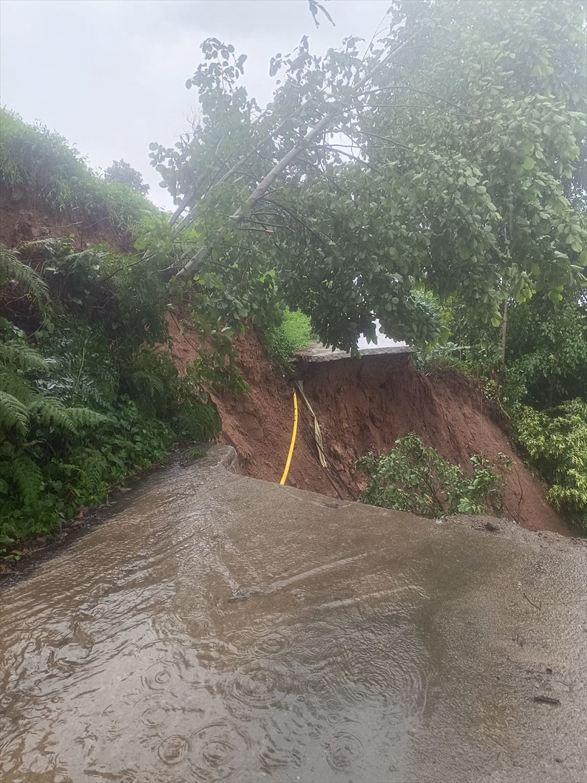 Çayeli'de sağanak sonrası mahsur kalan 2 kardeş kurtarıldı