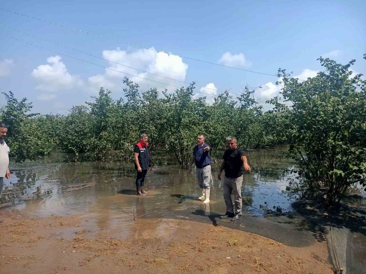Çarşamba'da 30 Mahallede Hasar Tespit Çalışmaları Sürüyor