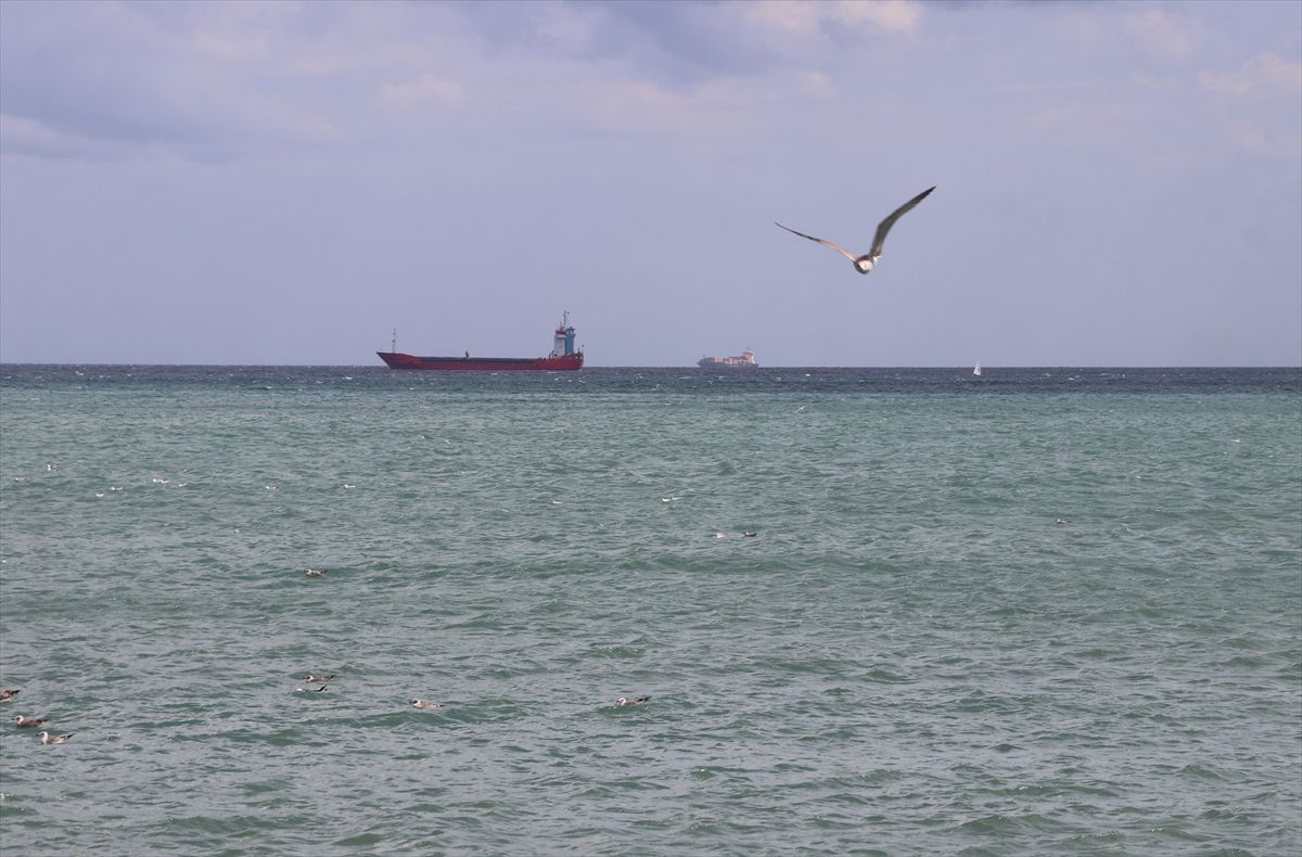 Marmara'da Poyraz: Deniz Ulaşımında Aksamalar