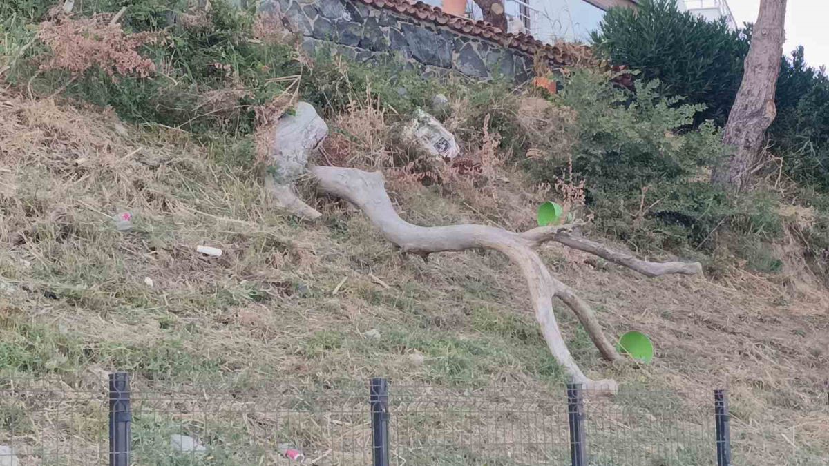 Tekirdağ'da Poyraz Hayatı Olumsuz Etkiledi