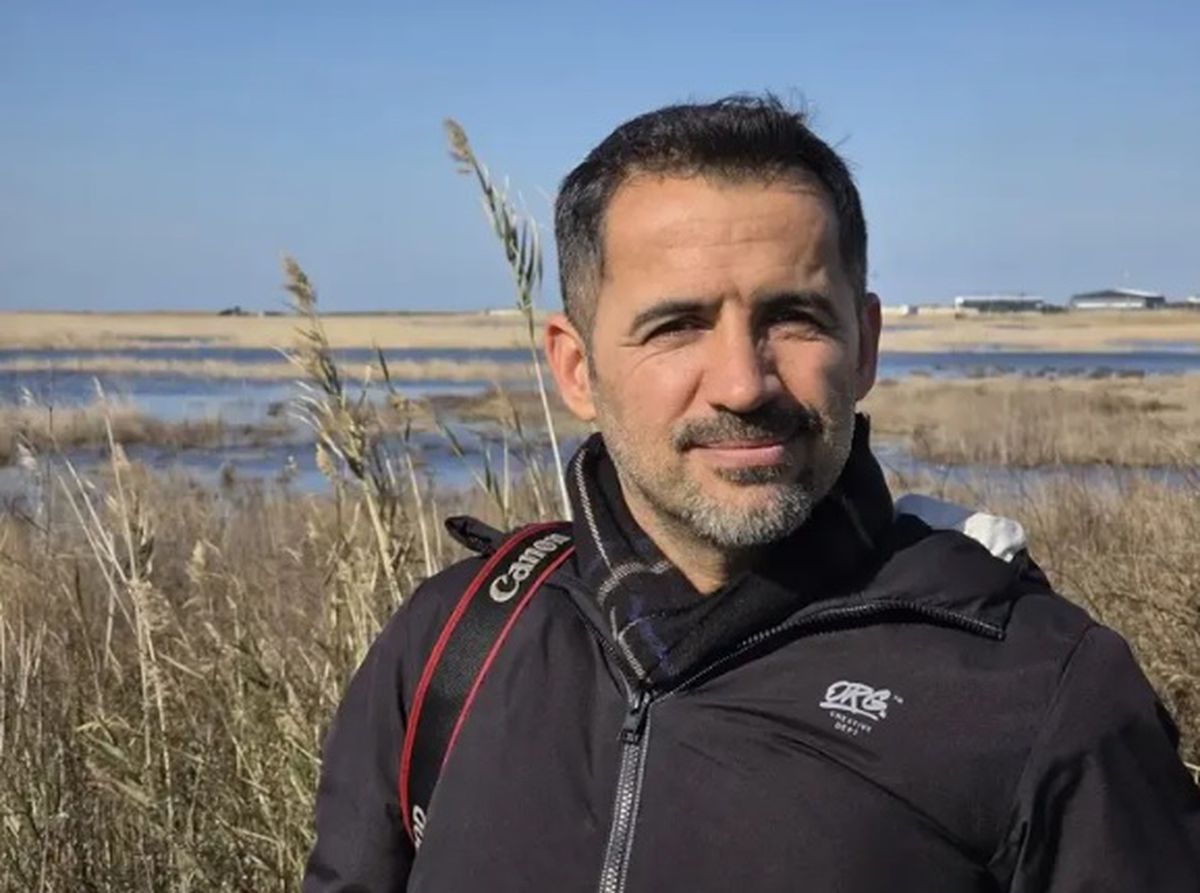 Yapay Işıklar Deniz Kaplumbağalarının Yönünü Şaşırtıyor: Uzmanlardan Sürücülere Çağrı