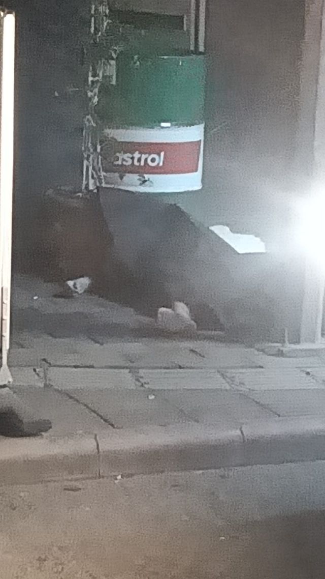 3 uncu kattan dusen sevilay oldu 1 gozalti 2 20148236 o