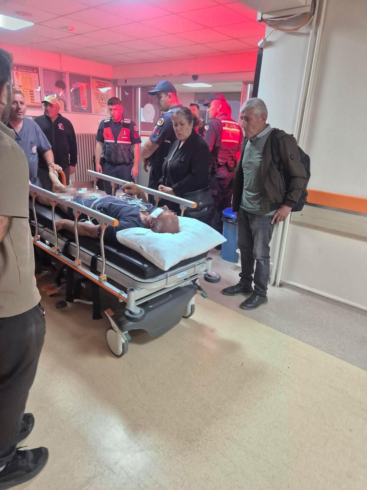 Ayı Saldırısına Köpekleriyle Karşı Koyan Çoban Yaralı Kurtuldu
