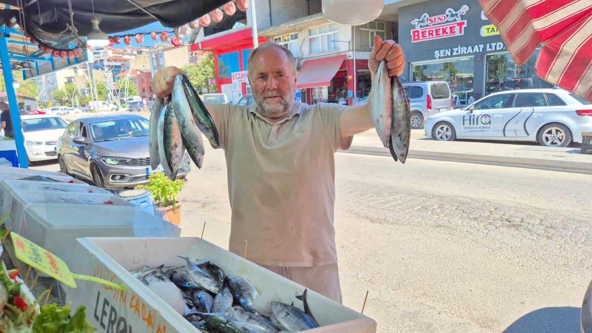 Alaplı'da palamut bolluğu: Tanesi 100 TL