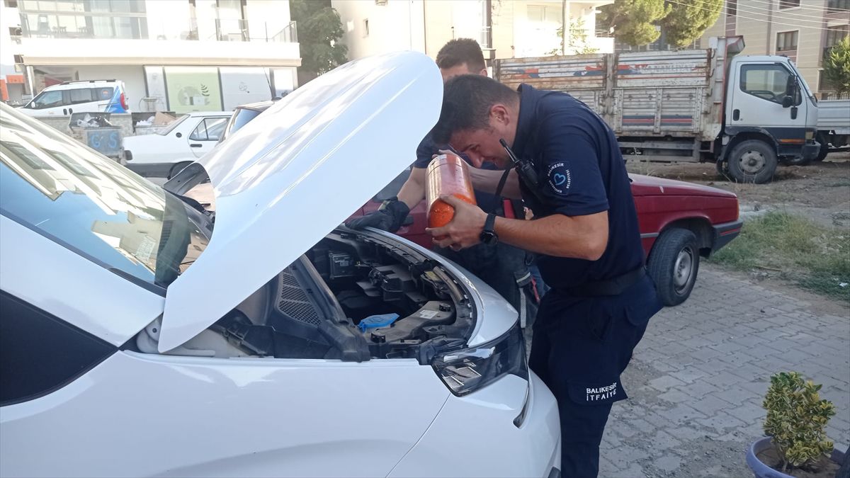 Gömeç'te Kediyi İtfaiye Kurtardı