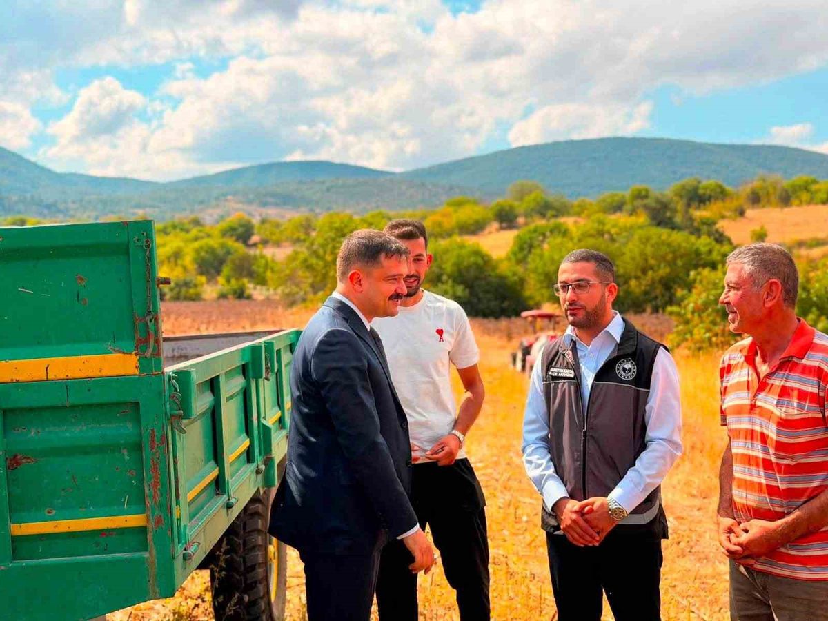 Gölpazarı’nda ayçiçeği ekimi 3 yılda 11 bin 700 dekar arttı