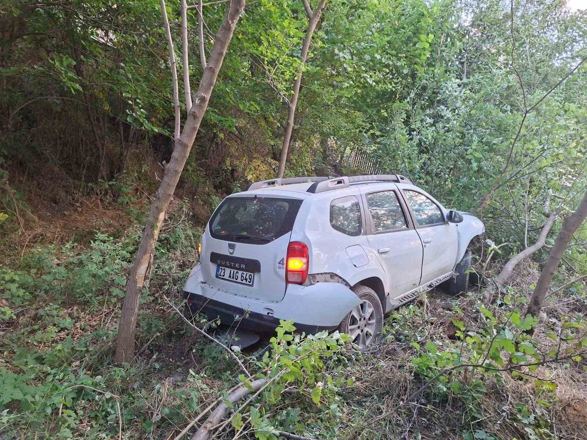 Bingöl'de Otomobil Bahçeye Uçtu: 2 Yaralı