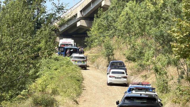 doktorun cansiz bedeni viyadugun altinda bulu 5 20147660 o