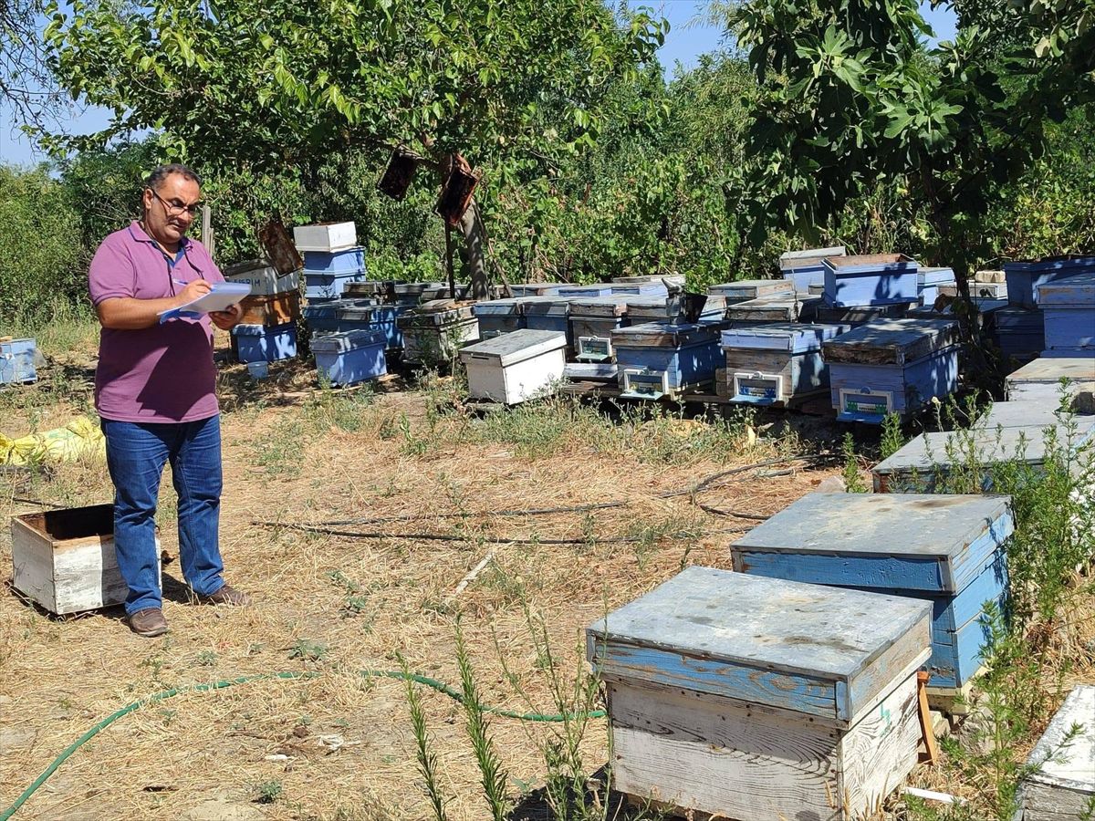 Keşan’da Kapsamlı Tarım ve Gıda Denetimleri