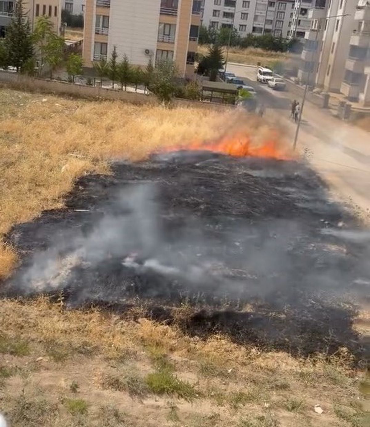 Elazığ'da Otluk Alan Yangını Kontrol Altına Alındı