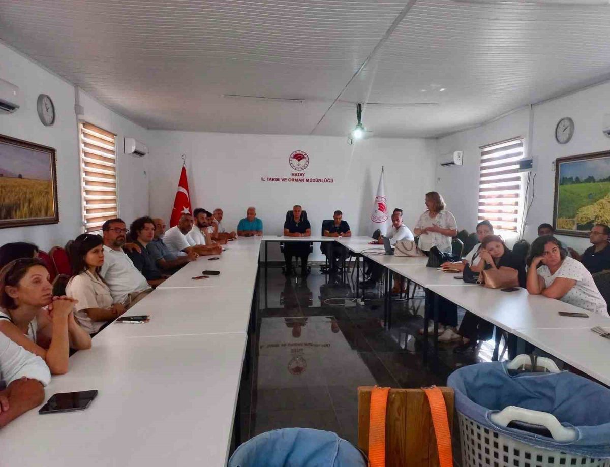 Hatay'da Turunçgillerde Doğru Hasat Eğitimi