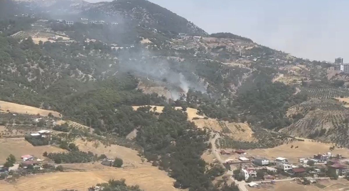 Kahramanmaraş’ta orman yangını