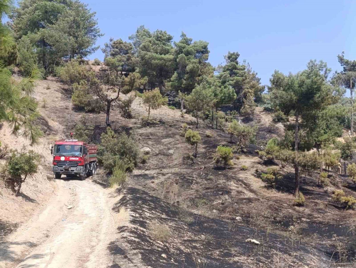 Kılavuzlu'da orman yangını kontrol altına alındı
