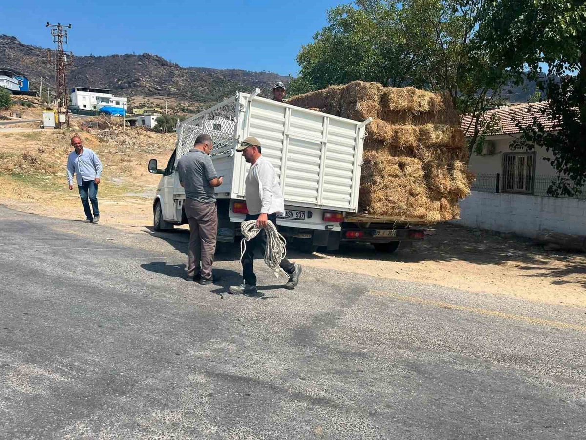 Yenipazar'dan Çine'ye Kaba Yem Dayanışması