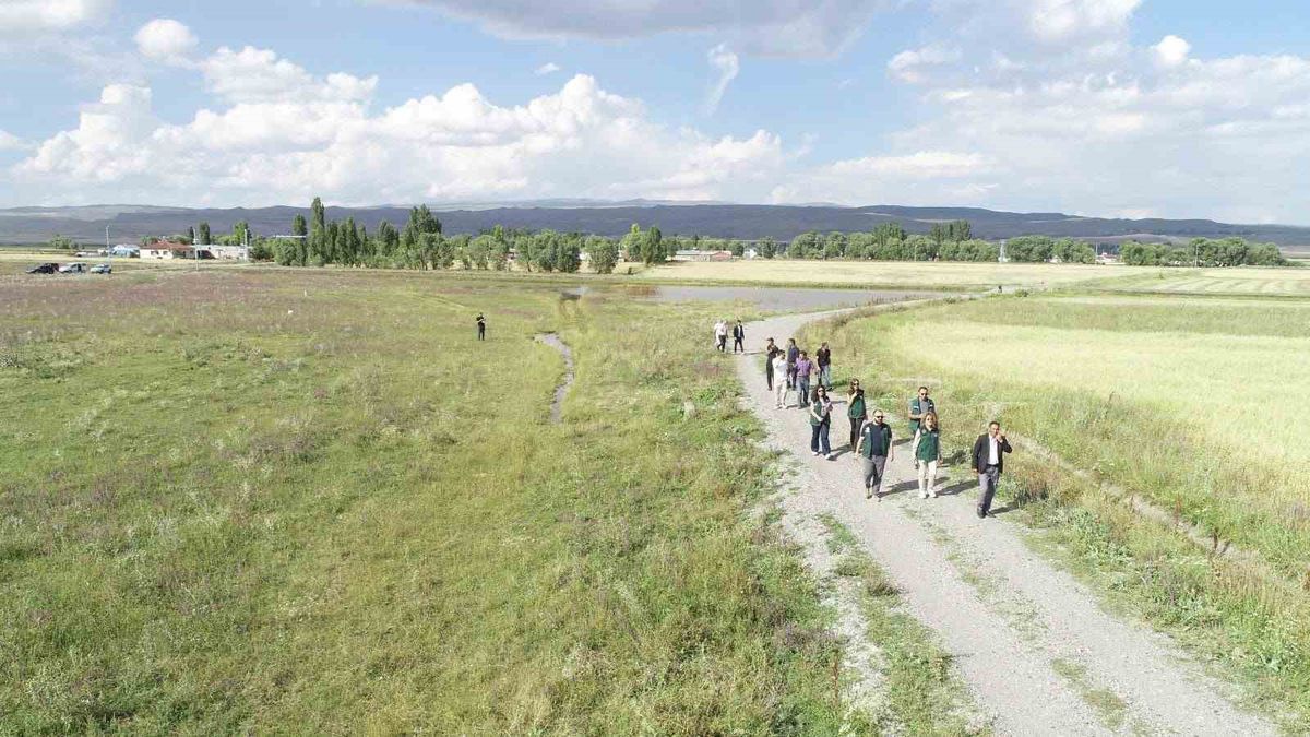 DSİ yetkilileri Kars ve Ardahan’daki arazi toplulaştırma çalışmalarını yerinde inceledi