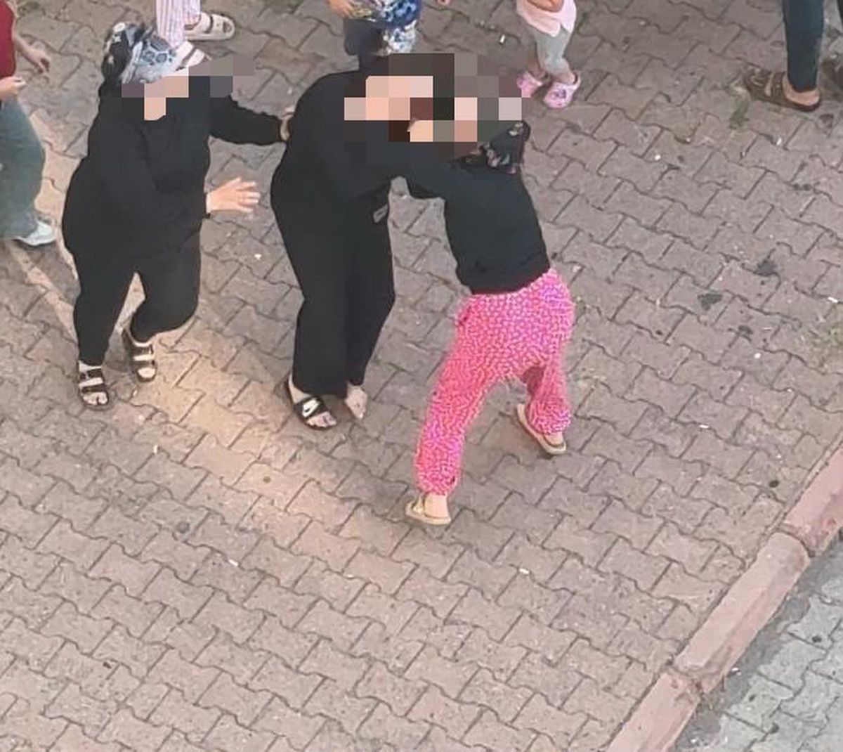 Kayseri'de Kadınların Kamelya Kavgası Cep Telefonuna Yansıdı