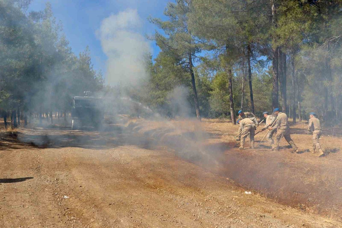 Kilis'te Jandarmadan Yangın Tatbikatı