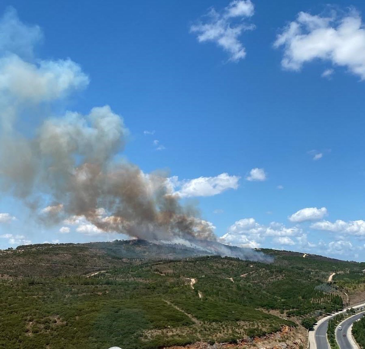 Gebze'de orman yangını 1.5 saatte söndürüldü