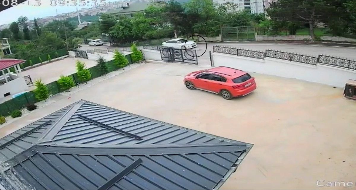 Ordu'da Köpeğe Çarpıp Kaçan Sürücü: Minik Kız Baygınlık Geçirdi