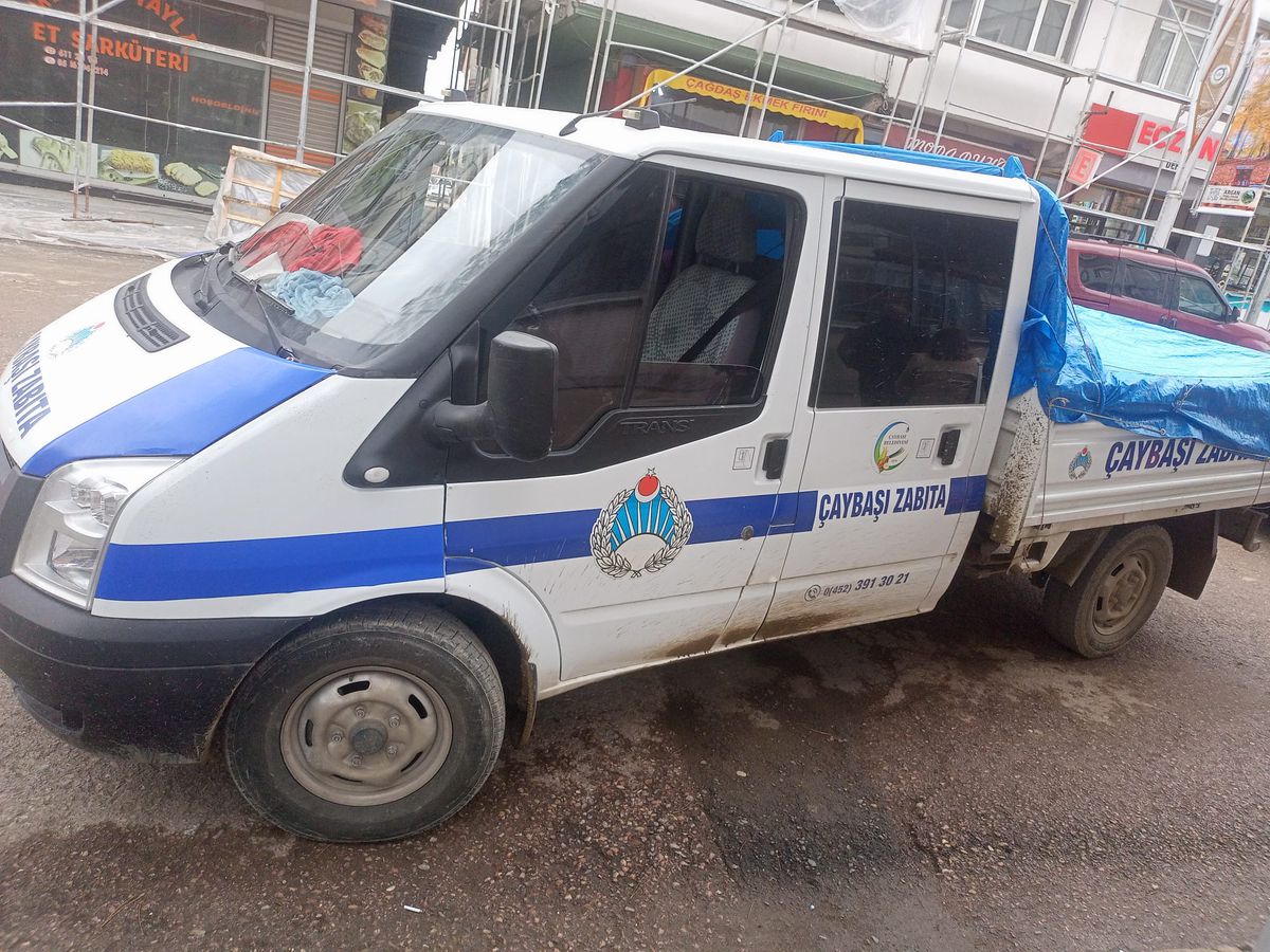 Sokak hayvanları olayında 'itibar suikastı' iddiası