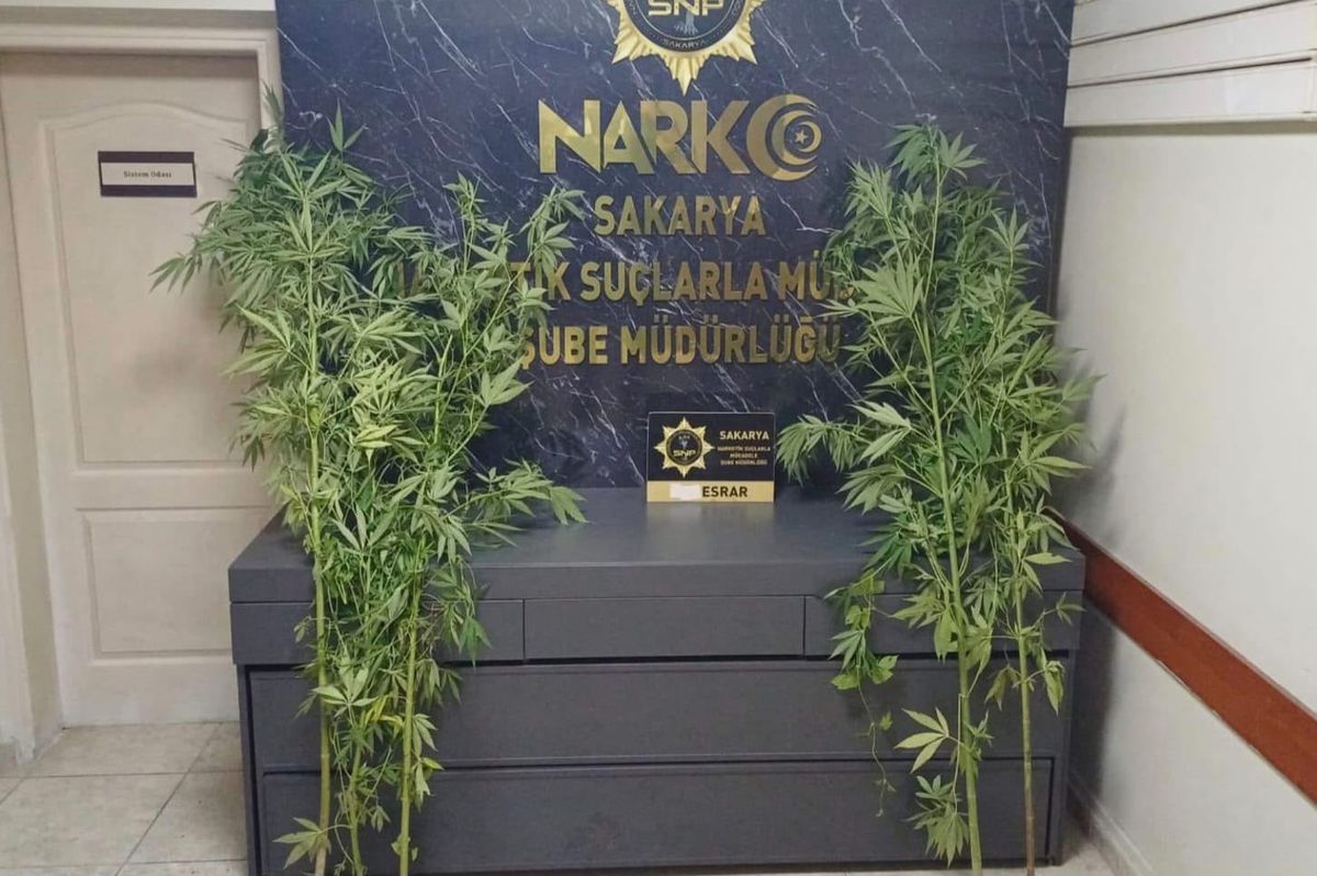 Sakarya'da Uyuşturucu Operasyonu: 1 Tutuklama