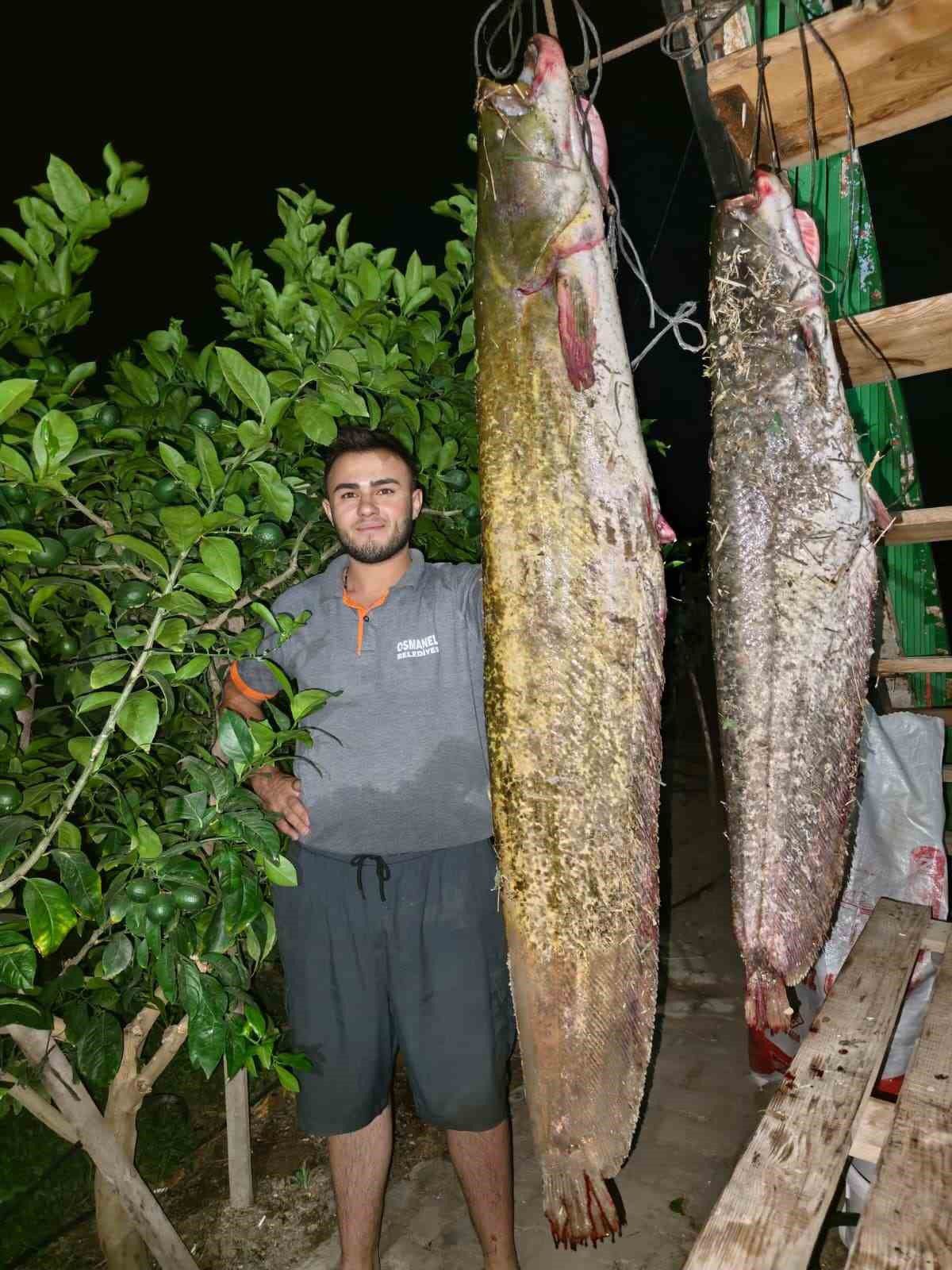 Osmaneli'de Tarihi Av: 34 Kiloluk Dev Yayın Balığı