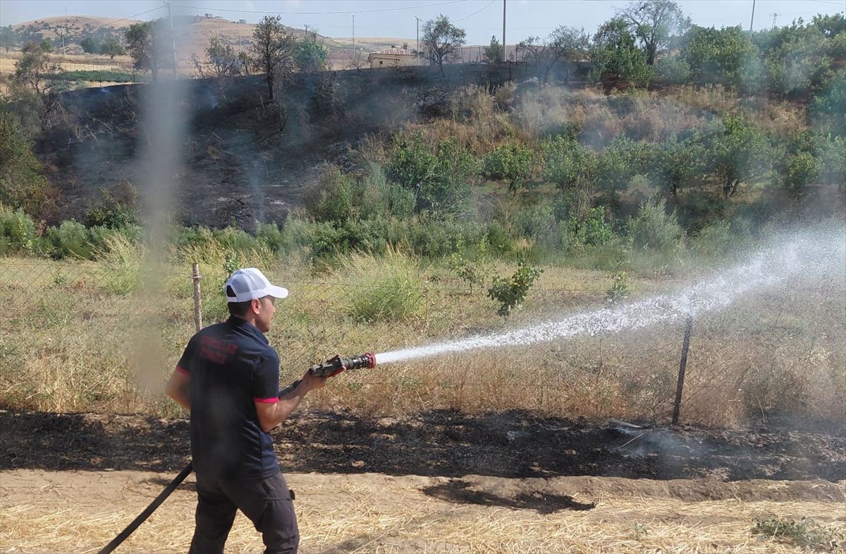 Siirt'te Anız Yangını Meyve Bahçesine Sıçradı