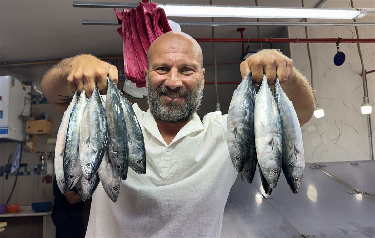 Sinop'ta sezonun ilk palamudu tezgahlarda