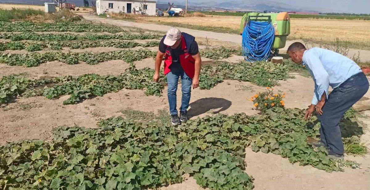 Afyonkarahisar'da Tarımsal Üretim İçin Saha Çalışmaları Sürüyor