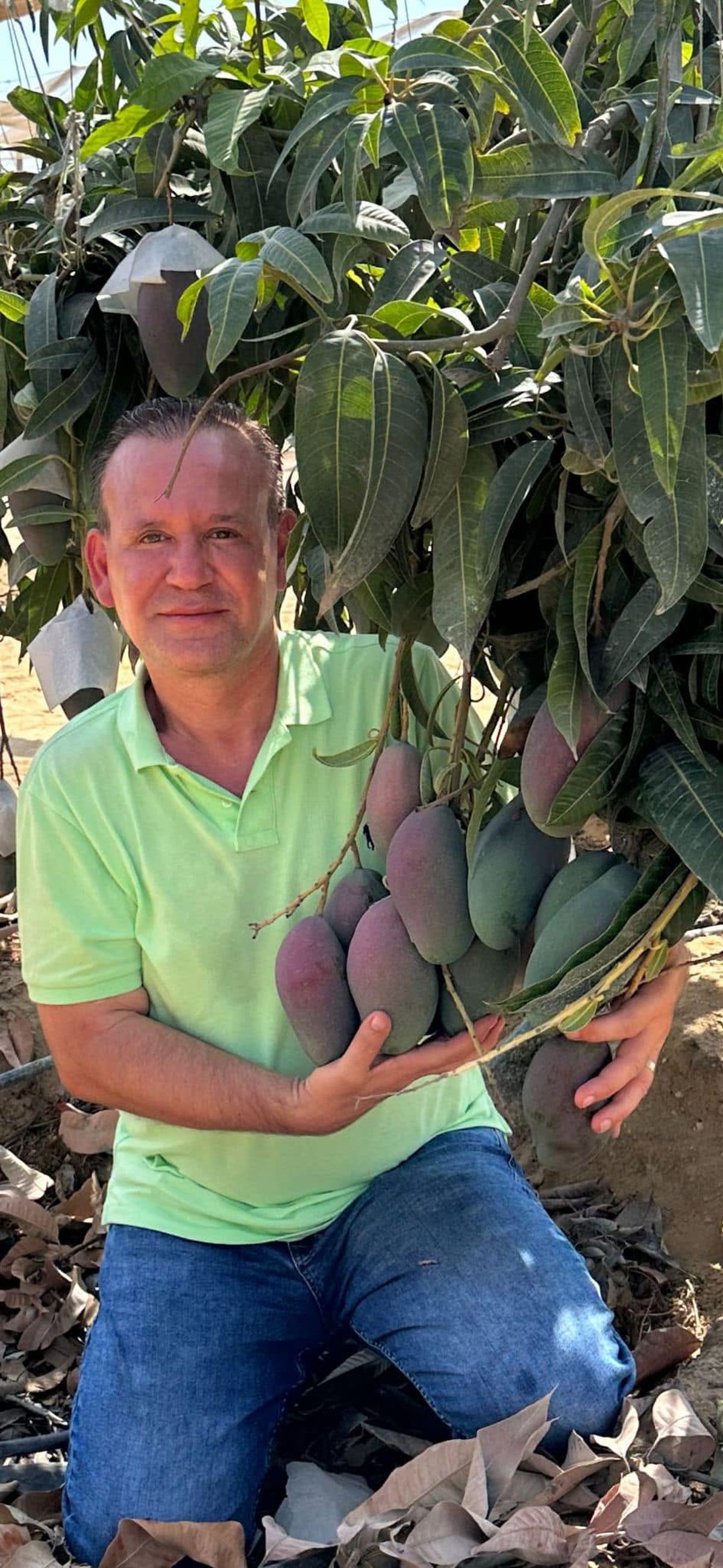 Alanya'da Mango Üreticisi Eşini Bıçaklayıp İntihar Girişiminde Bulundu
