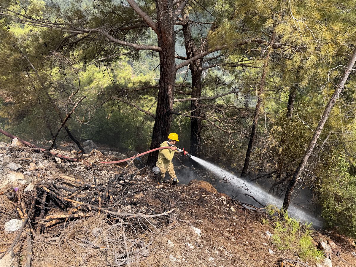 Alanya’da orman yangını: 1 dönüm alan zarar gördü