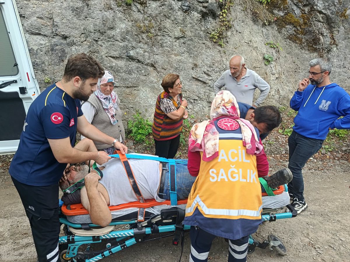 Artvin'de kazalar: Çiftçi ve çoban kurtarıldı