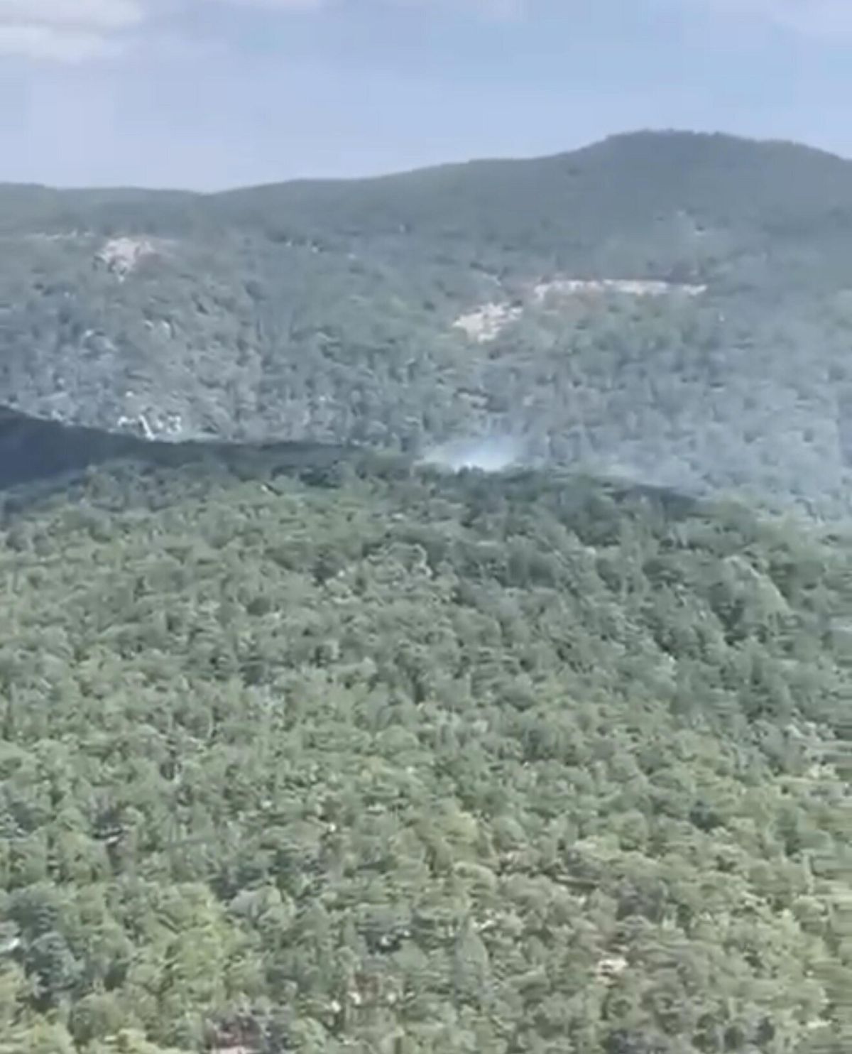 Edremit'te Orman Yangını: Ekipler Müdahale Ediyor