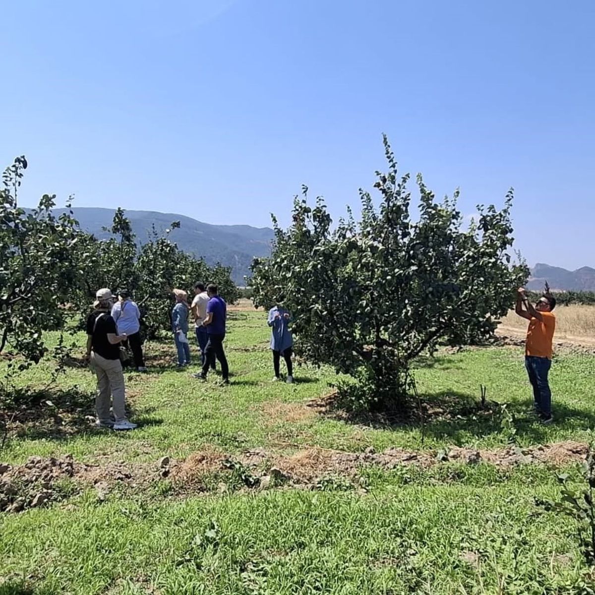 Osmaneli'nde Tarım Arazileri Hastalık ve Zararlılara Karşı Denetlendi