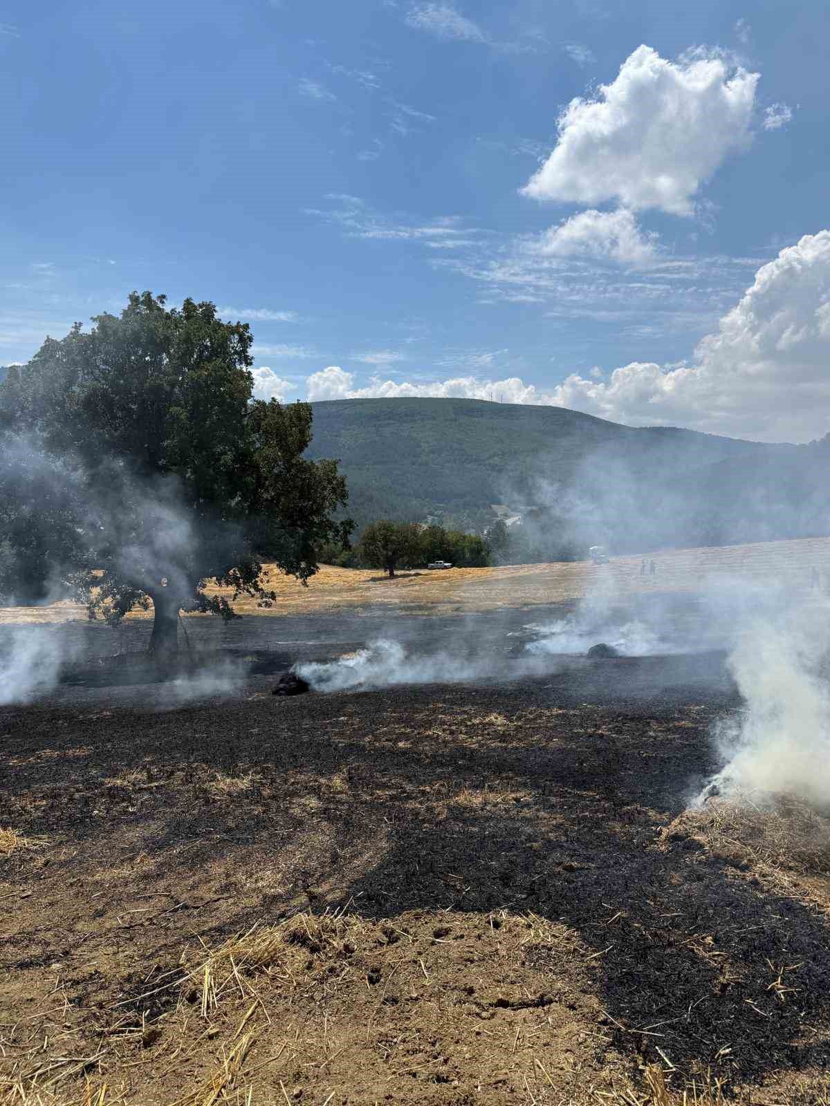 Bolu'da Balya Makinesinden Çıkan Kıvılcım Tarlayı Yaktı