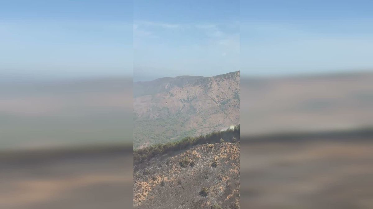 Marmaris Aksaz'daki orman yangını kontrol altına alındı